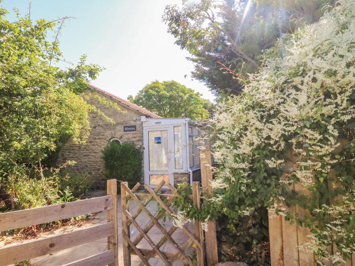 Mimosa Cottage Swyre Kültér fotó